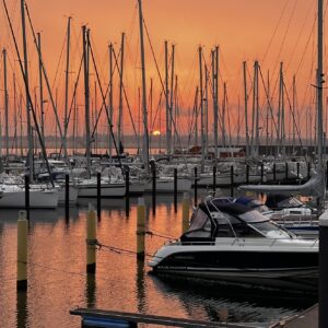 IMG_0931